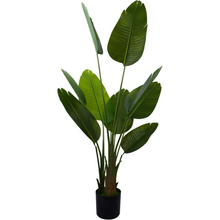 Naložite sliko v pregledovalnik galerije, Umetna rastlina – puščica z velikimi listi, višina 110 cm