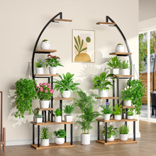 Naložite sliko v pregledovalnik galerije, Rastline v obliki polmeseca z LED osvetlitvijo – 7 ravni