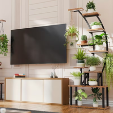 Naložite sliko v pregledovalnik galerije, Rastlinski stojalo v obliki polmeseca