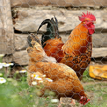 Naložite sliko v pregledovalnik galerije, Fleksibilna mrežasta ograja za kokošnjak – 25 m dolžine