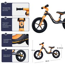 Naložite sliko v pregledovalnik galerije, Kolo brez pedalov Felong