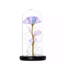 Naložite sliko v pregledovalnik galerije, Večna vrtnica v stekleni kupoli