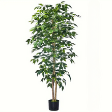 Naložite sliko v pregledovalnik galerije, Umetni les ficus - 160 cm
