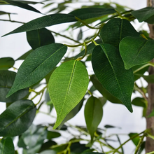 Naložite sliko v pregledovalnik galerije, Umetni les ficus - 160 cm
