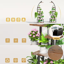 Naložite sliko v pregledovalnik galerije, Rastline v obliki polmeseca z LED osvetlitvijo – 7 ravni
