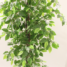 Naložite sliko v pregledovalnik galerije, Umetni les ficus - 160 cm
