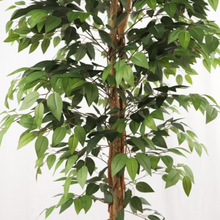 Naložite sliko v pregledovalnik galerije, Umetni les ficus - 160 cm
